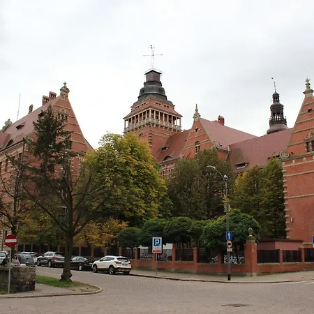 Szarotka Ii *