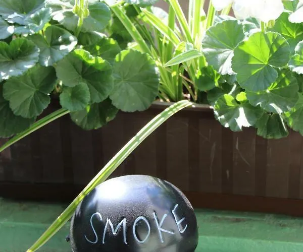 Szarotka Ii Apartment